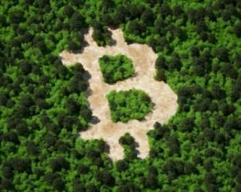 bitcoin jungle