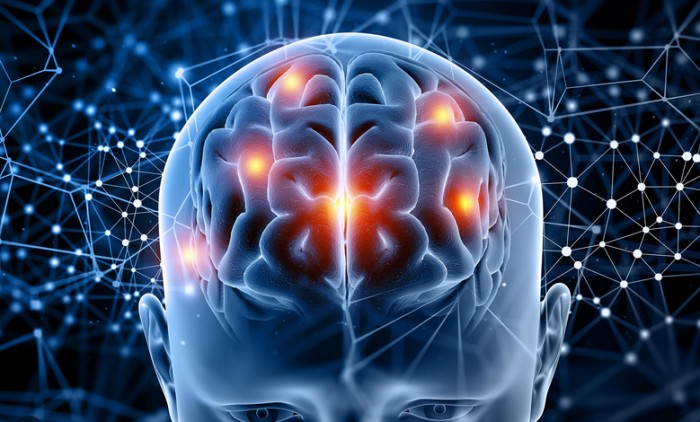 mentis in azione